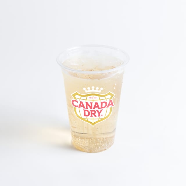 Can of Ginger Ale.